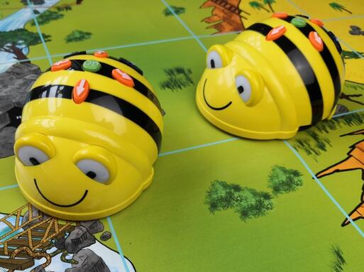 CD MINTwoch Robothek BeeBots